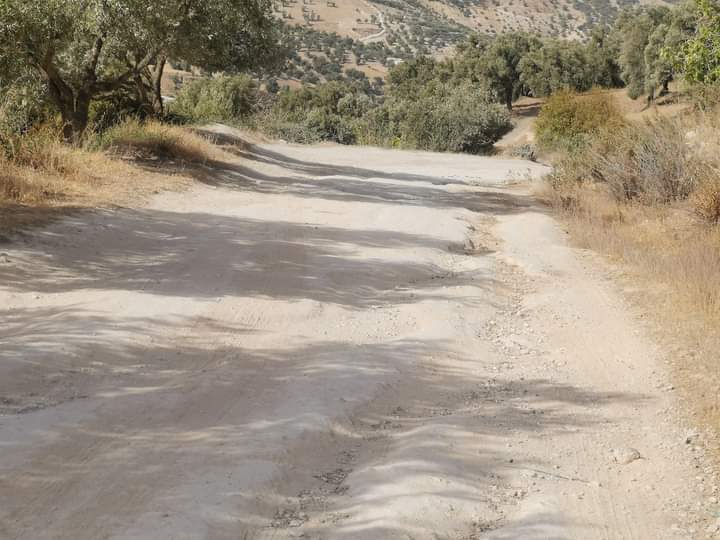 ساكنة دوار المروج بجماعة عين بوعلي تطالب بفك العزلة