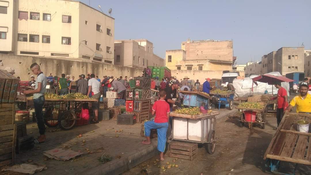 بسبب الوحش الأبيض..الركود يضرب سوق فاكهة الفقراء بمدينة فاس