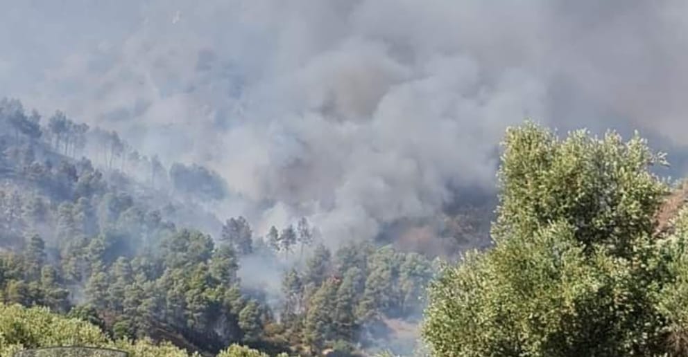 النيران تلتهم غابة جبل إغير بتاونات