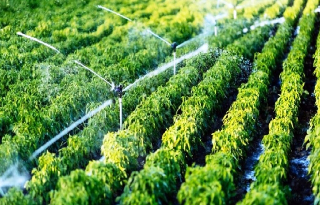 غياب الدعم وارتفاع الأسعار يغضب الفلاحين الصغار بتاونات