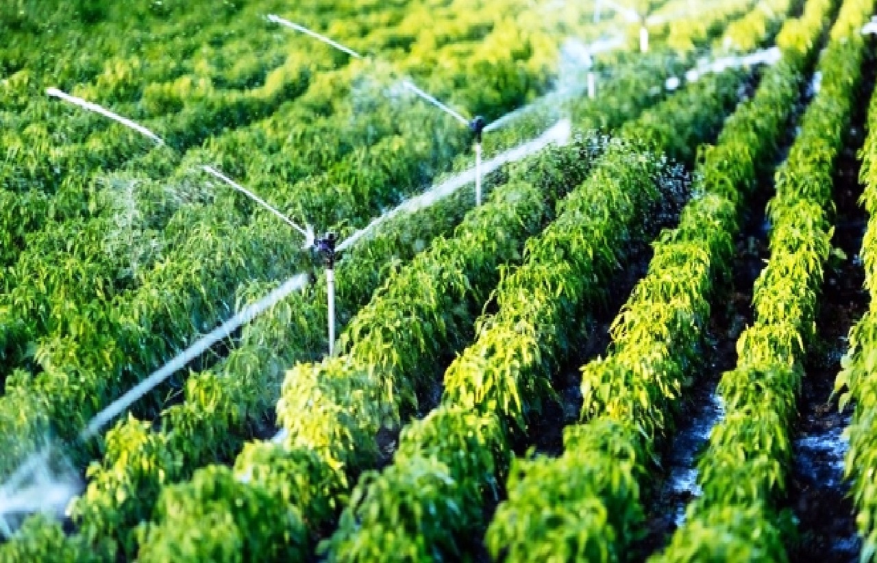 غياب الدعم وارتفاع الأسعار يغضب الفلاحين الصغار بتاونات