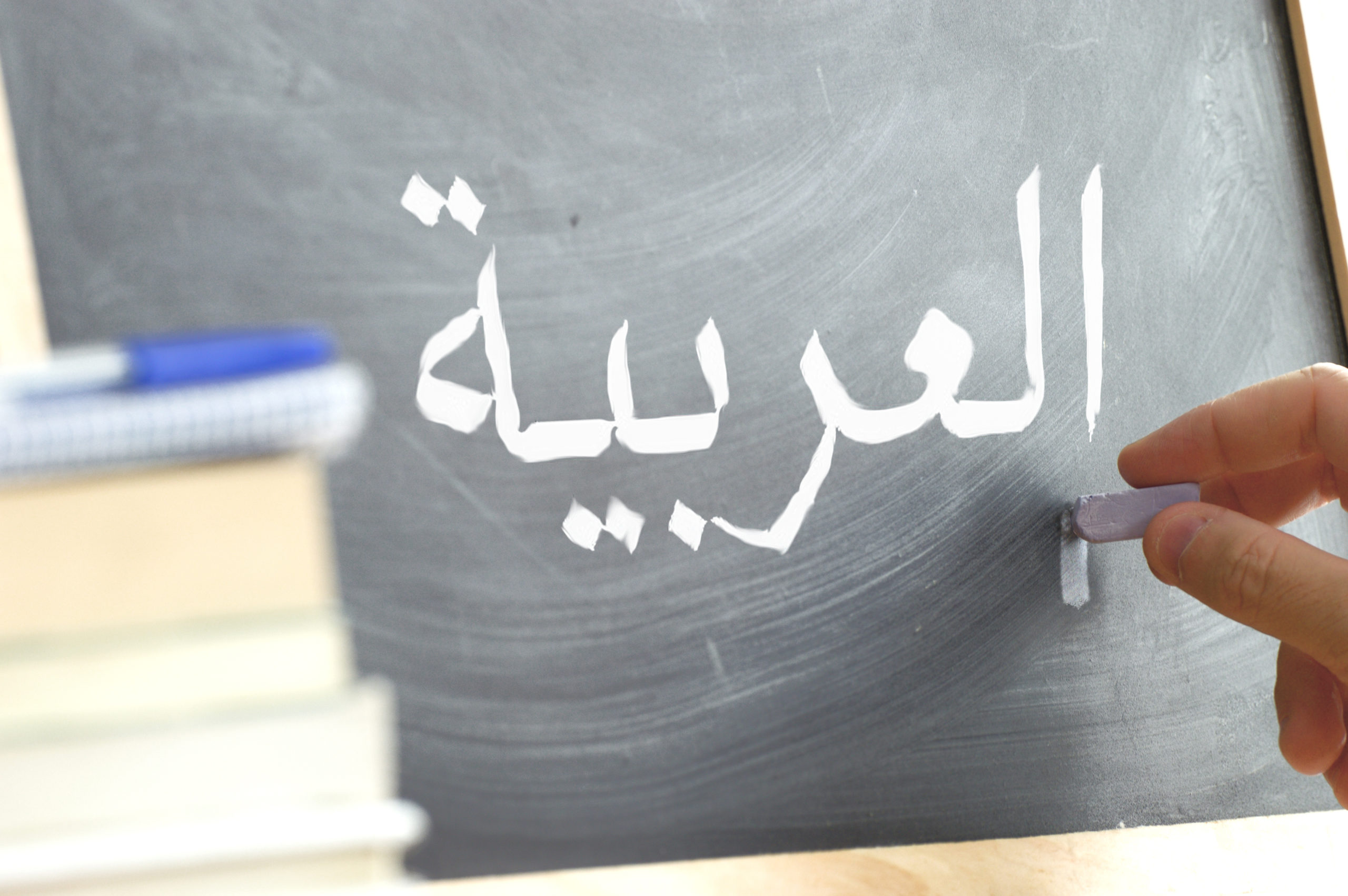 باحثون بفاس يناقشون المسألة اللغوية في المغرب وسؤال المستقبل