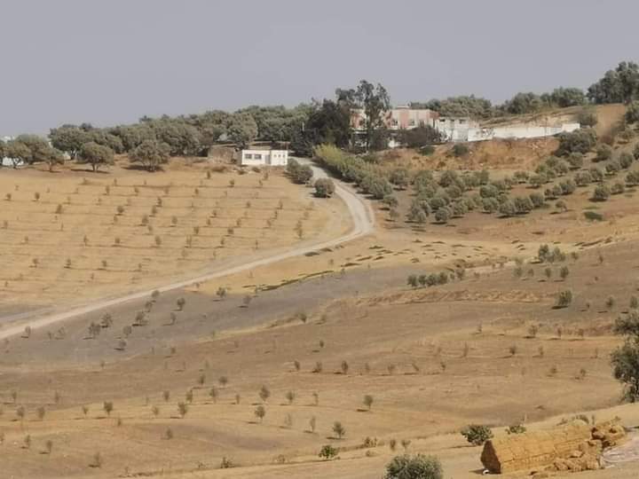 ساكنة دواوير بجماعة أولاد ميمون تعاني من ضعف البنية التحتية الصحية