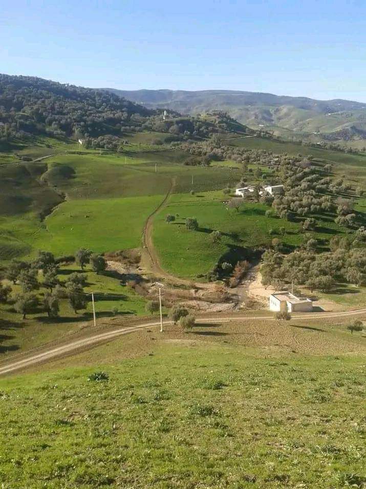 ساكنة دوار بجماعة بني فراسن بإقليم تازة بدون الماء الصالح للشرب
