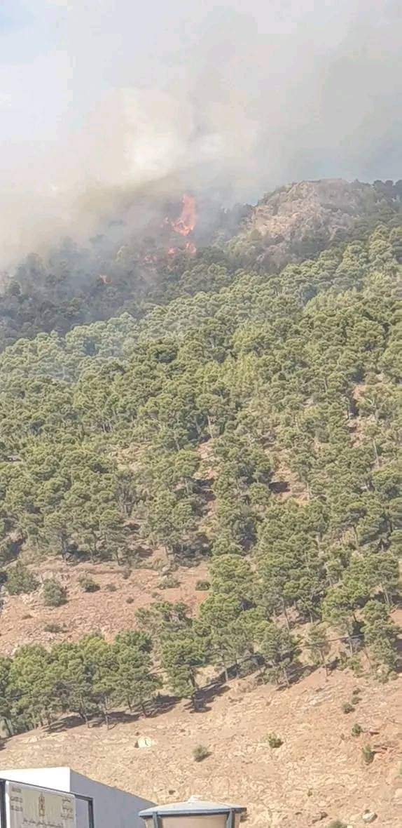حريق مهول بجبل لقرع بعين مديونة