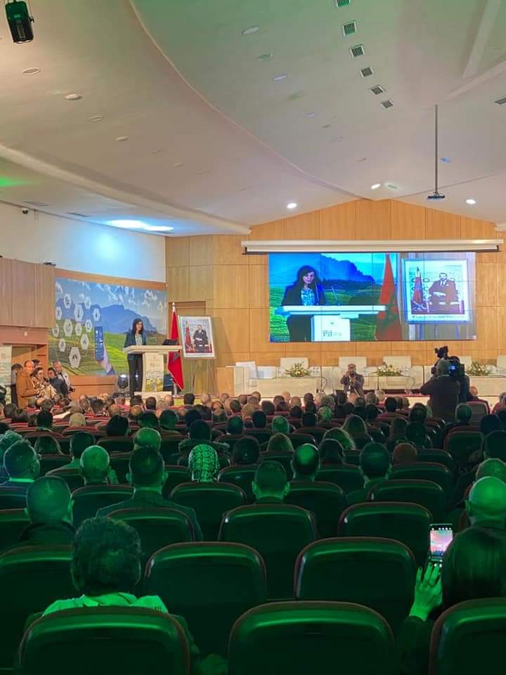 مكناس تحتضن لقاء حول التحول الرقمي واستراتيجية الجيل الأخضر