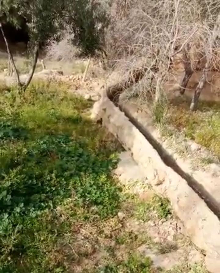 انهيار السواقي بجماعة إنجيل يؤرق فلاحي المنطقة