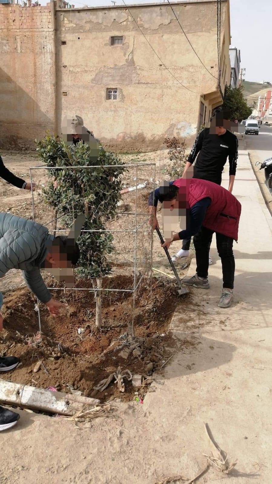 مبادرة شبابية لتعويض الأشجار التي تضررت بفيضانات حي الملحة بتازة