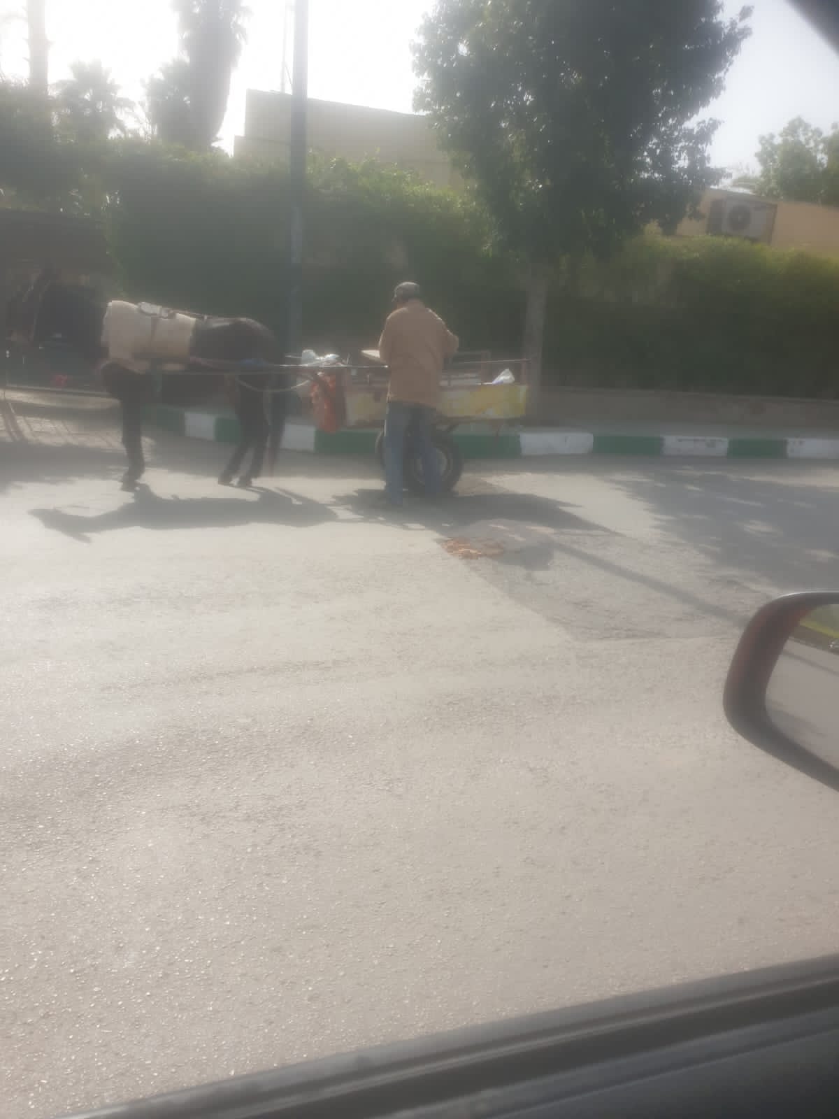انتشار الحفر بطرق مقاطعة فاس المدينة يفرز مبادرة تطوعية بطلها شخص مسن