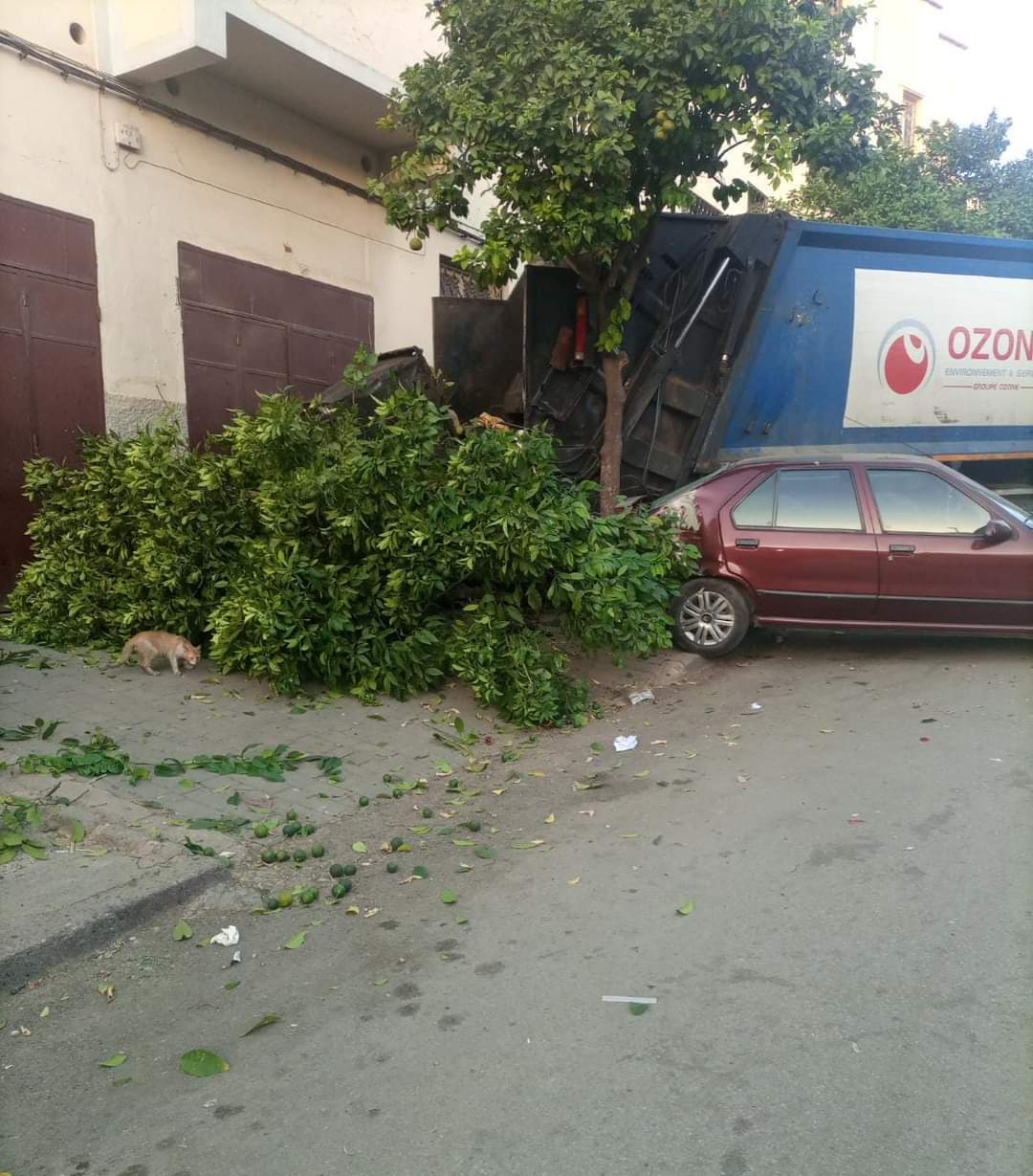 خسائر مادية في حادثة دهس شاحنة للنظافة ل 3 سيارات بفاس