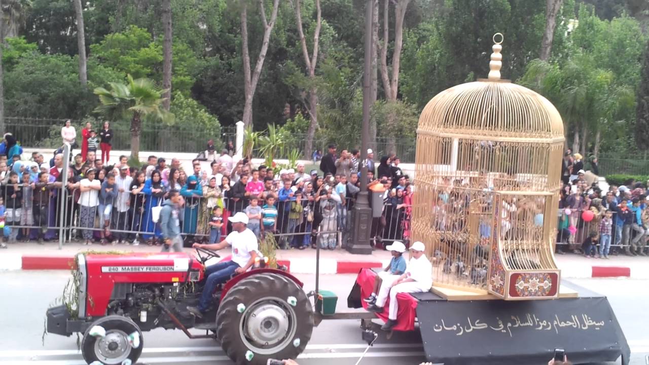 مهرجان صفرو يستقطب نعمان لحلو والبنج وسعيدة شرف