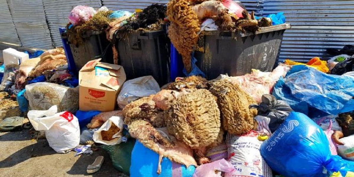 جمع أزيد من 6500 طن من المخلفات والنفايات بفاس خلال عيد الأضحى
