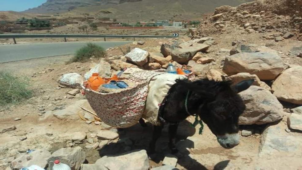أزمة العطش تحاصر ساكنة جماعة الدار الحمراء  بإقليم صفرو