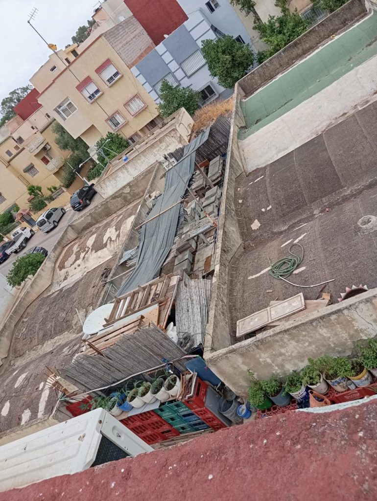 أسراب النحل تنغص حياة ساكنة حي ثغات بفاس