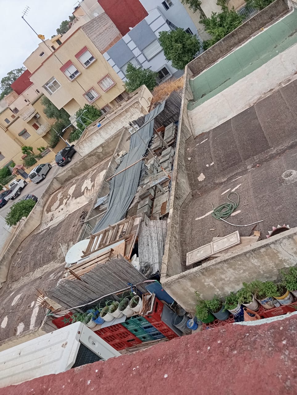 أسراب النحل تنغص حياة ساكنة حي ثغات بفاس