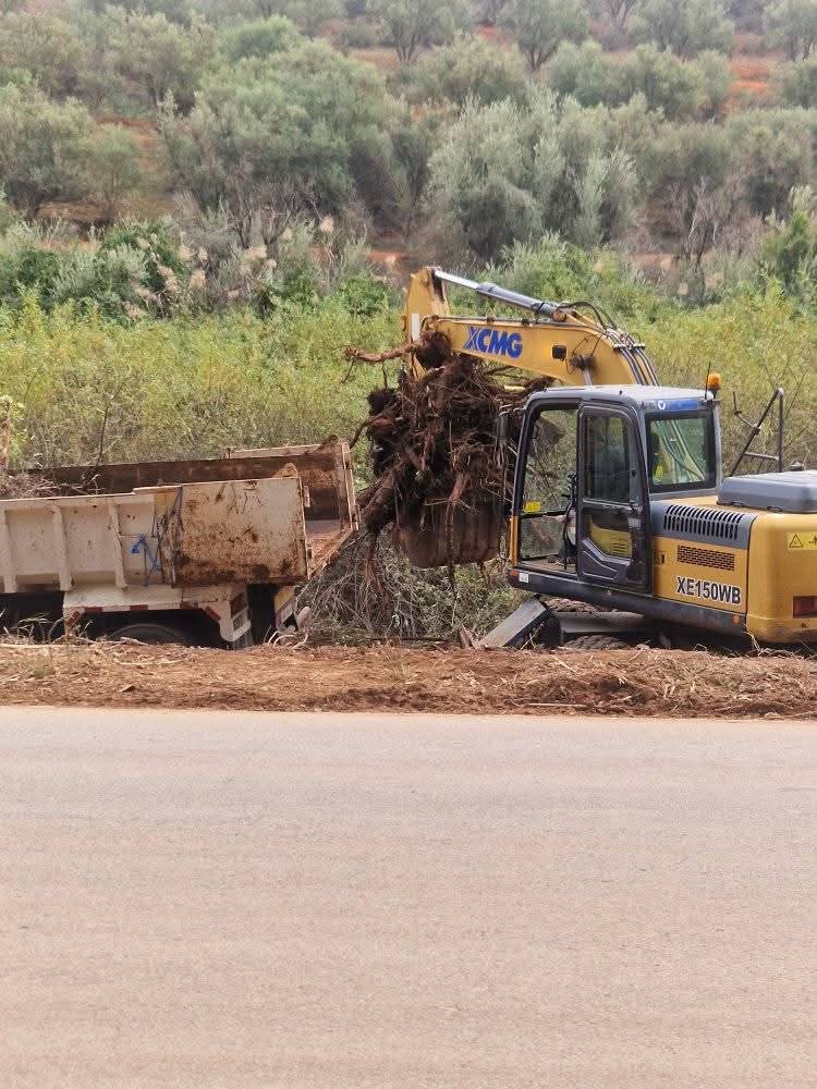 مبادرة بيئية وأمنية نوعية في غابة عين الشقف تلقى استحسان الساكنة والزوار