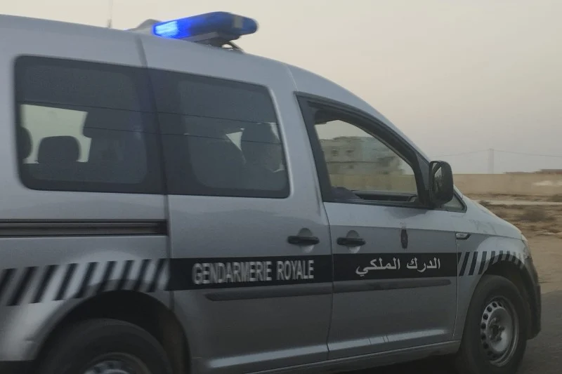 درك  أزرو يضع حدا لنشاط عصابة “فراقشية” ويضبط بحوزتها 200 رأس من الماشية