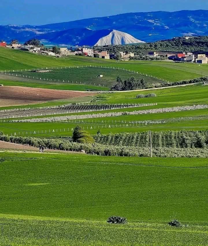 التساقطات الأخيرة تنعش الموارد المائية بجهة فاس مكناس  وتبعث الأمل في موسم فلاحي واعد