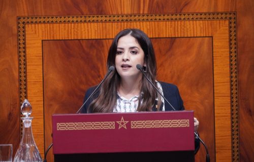 ريم شباط رئيسة للفريق الحركي بمجلس النواب